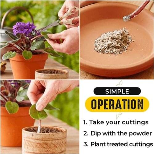 Fast Rooting Powder Rooting Hormone Powder Improve Flowering Cutting Survival Rate Plants Grow Cut Dip Powder Fertilizer Tool