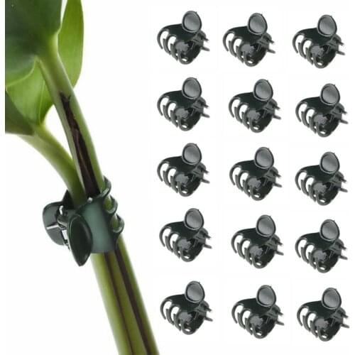100PCS Plastic Plant Support Clips Orchid Stem Clip for Vine Support Vegetables Flower Tied Bundle Branch Clamping Garden Tools