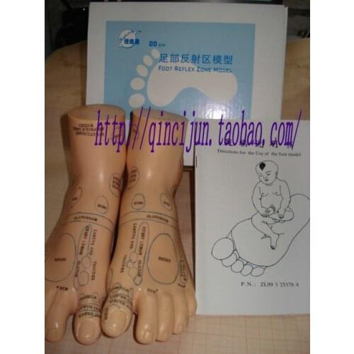 Free shipping 20cm large human model pvc foot model Foot reflex zone model foot acupuncture model english