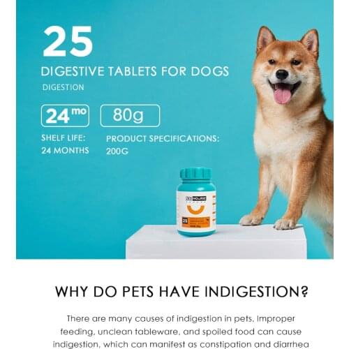 Pet Digestive Tablets 160 Tablets Gastrointestinal Cat Plush Appetite Constipation Pet Health Care Products 80g