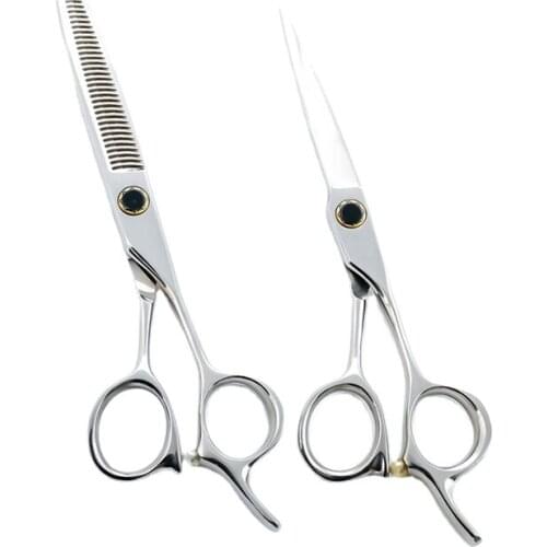 6 Inch Silver Professional Barber Hairdresser Hairdressing Hair Cutting Thinning Scissors