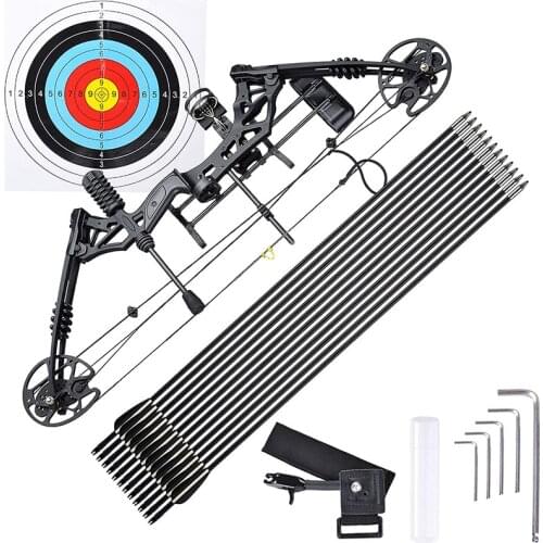 30lbs-70lbs Archery Compound Bow Hunting Compound Bow Archery Compound Bow Complete Set Of Accessories With 12 Arrows