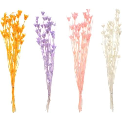 Dried Star Anise Flower Bouquet, Natural Anise Flower Branch for DIY Wreath Bouquet Home Office Party Wedding Decorations