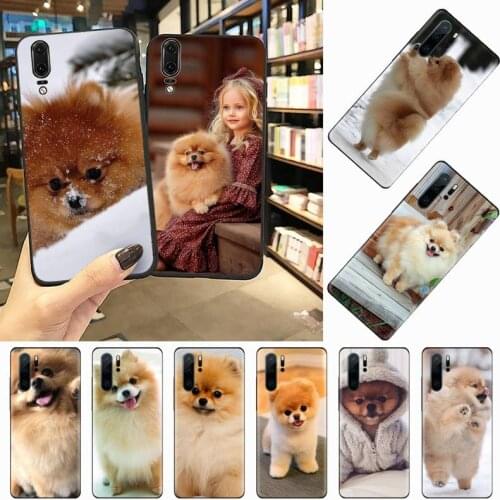 Pomeranian dog cute animal Phone Case For Huawei honor Mate P 10 20 30 40 i 9 8 pro x Lite smart 2019 nova 5t