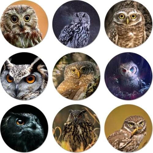 Animal Owl Eyes Icons Pins Badge Decoration Brooches Metal Badges For Clothes Backpack Decoration