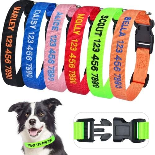 AIRUIDOG Collars For Cats