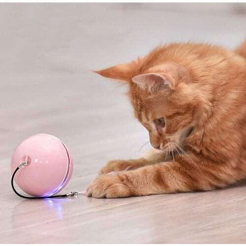 Famegoo Products For Cats