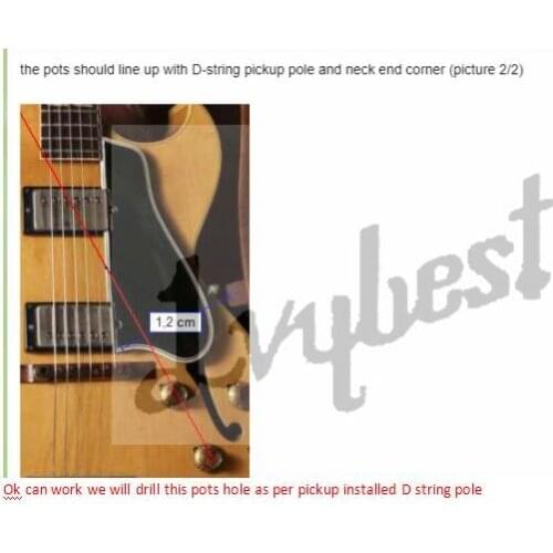 Electric guitar customized hollow body& headstock shape,no serial number,chrome parts,right f hole shape and pots position