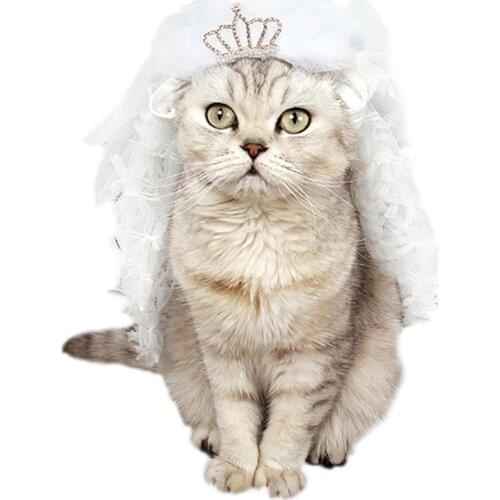 Dog Bandana Pet Princess Luxury Lace Dog Wedding Veil Bride Costume Bridal Boutique Puppy Cat Pets Grooming