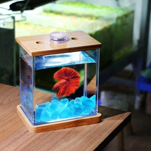 Novel and Strange Toy DIY Ecology Bottle Creative Desktop Office Living Room Mini-size Fishbowl Aquarium Room Decoration Gift