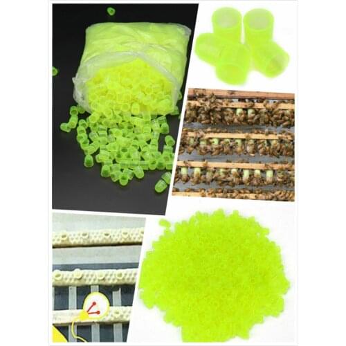 Plastic box king cover Wang keeping tools 1000pcs/bag 1bag Yuwang Taiwanese bee King Cup