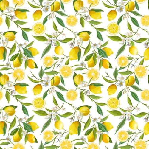 Happy Birthday Lemon Backdrop Holiday Fruit Photography Background Celebration Photo Booth Studio Decor