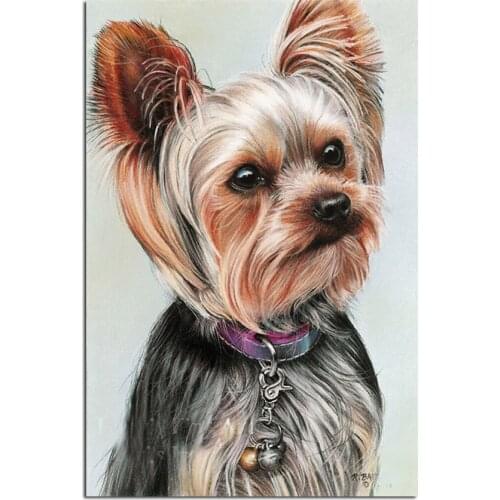New 5D Diy Diamond Painting animal dog Yorkshire Terrier Full Square Round Diamond Embroidery Rhinestone Cross Stitch Mosaic