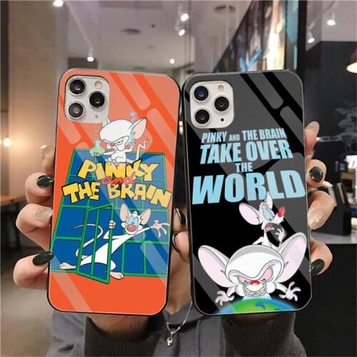 Cartoon Movie Pinky And The Brain Phone Case Tempered Glass For iPhone 11 Pro XR XS MAX 8 X 7 6S 6 Plus SE 2020 case