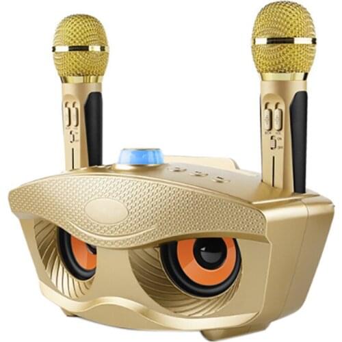 SD306 Dual Bluetooth Speaker with 2 Wireless Microphones Outdoor Family KTV Stereo Mic Big Sound 20W