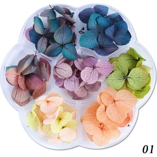 45-50pcs/box Dried Flowers DIY Epoxy Resin Mold Handmade Crafts Filling Materials Time Stone Jewelry Making Filler Desktop Decor