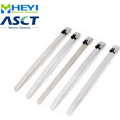 10PCS 4.6*100mm 4.6*200mm 4.6*300mm 4.6*400mm 4.6*500mm stainless steel metal cable tie 0.25m Multi-Purpose Locking Cable Ties