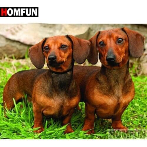 HOMFUN Paint With Diamond Embroidery "Animal dog" Diamond Painting Full Square Round Picture Of Rhinestone Decor A26192