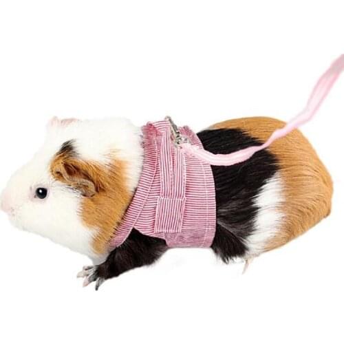 Small Pet Chest Strap Outdoor Traction Rope Leash Clothes For Chinchilla Dutch Breathable Corset