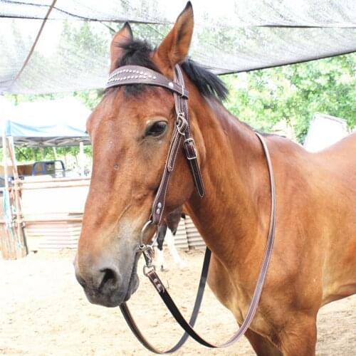 Adjustable Horse Riding Equipment Halter Horse Bridle Leather Cowhide Head Collar Headcollar Equipment Equestrian Accessories