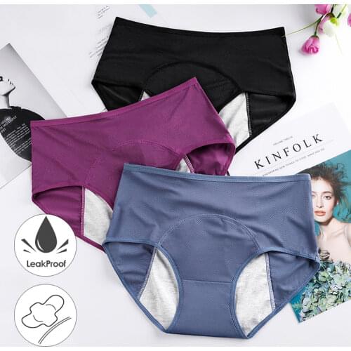 Leak-Proof Menstrual Underwear Panties Women Incontinence Period Pants Menstruation Warm Cotton Underpants Dropshipping 3 Pcs