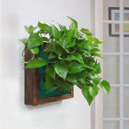 Home Garden Succulents Wall hanging Flower Pot Green Plants Planter Hanging BasketCreative GardenPots PlantersGarden Accessories