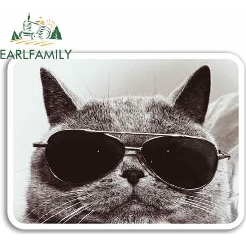 EARLFAMILY 13cm x 13cm Cute Cat Funny Car Stickers RV VAN 3D DIY Fine Decal Bumper Scratch-proof JDM Vinyl Car Wrap Decor