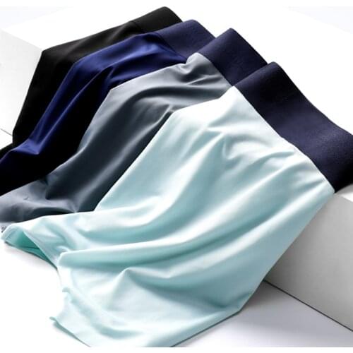 5 Pcs/lot Mens Underwear Boxers Pack Seamless Transparent Male Ice Silk Boxer for Men Boxers Breathable Mens Panties 2021 NEW