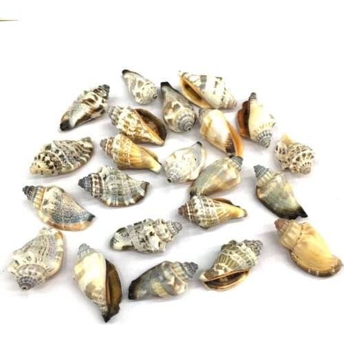 Natural shell fashion Conch Pendants Exquisite Charms for Jewelry Making DIY Bracelet Necklaces earring Accessories Size 15x30mm