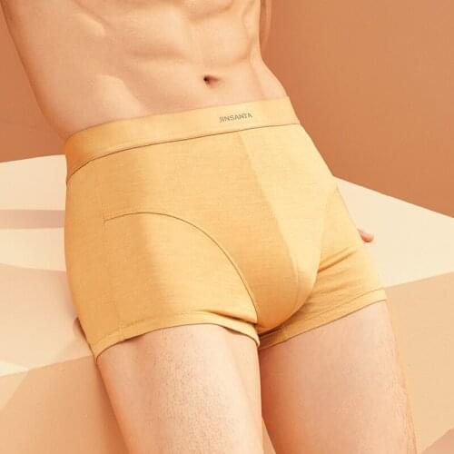 Men 100% Mulberry Silk Breathable Comfortable Antibacterial Boxers High Waist Boxers Mens Underwear High-End Underwear