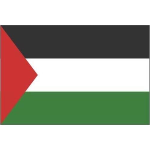Fabric 10 Pieces Palestine Send Flag 50x75 Quality Every Home Needs Israel Opportunity Product 2021 Ali Store