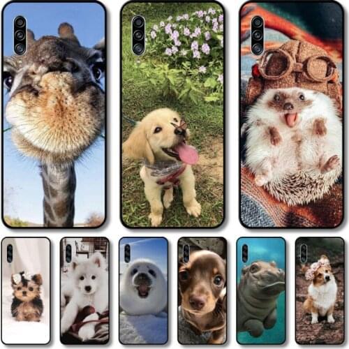 Cute animals Phone Case For Samsung Galaxy A 12 51 52 21 71 70 42 32 10 80 90 E 5G S Black Shell Art Cell Cover