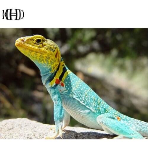 New to the chameleon picture square & round 5d diy diamond painting animal diamond cross stitch rhinestone mosaic chameleon