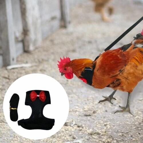 Portable Pet Harness Bowknot Decor Walking Safety Fabric Safe Chest Strap Leash for Chicken Harness Small Animal Supplies