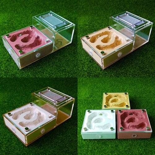 Magnetic Model Bionic Flat Plaster Pet Nest Castle Box Ants Farm House Reptile Terrarium Unique Gifts