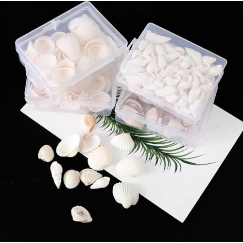 1 box of natural beach fashion shell DIY craft decoration jewelry crafts craft shell bracelet decoration craft