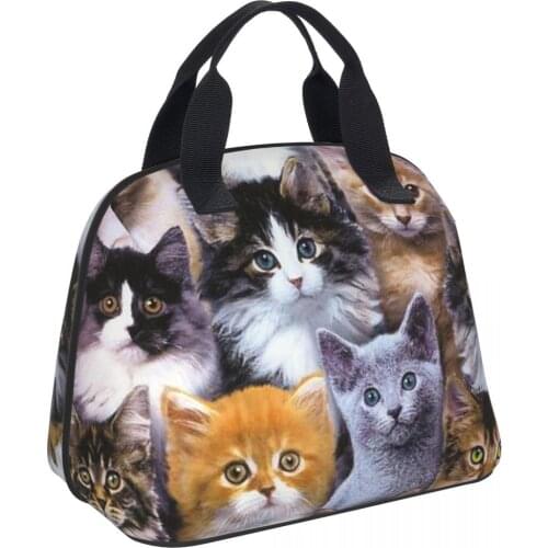 Portable Lunch Bag Insulated Cooler Picnic Case Cute Cat Pattern Print Thermal Bento Handbag Lunch Container Food Storage Bags