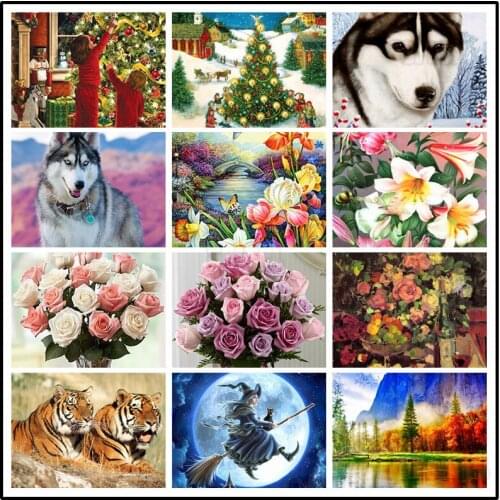 Diamond Painting Still Life Witch Husky Riding A Broom Christmas Beautiful Lilies Roses Tiger Mountain Foot Scenery Decor Poster