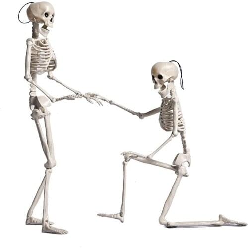 1PC 40cm Funny Movable Human Anatomical Anatomy Skeleton Halloween Decor Human Model Skull