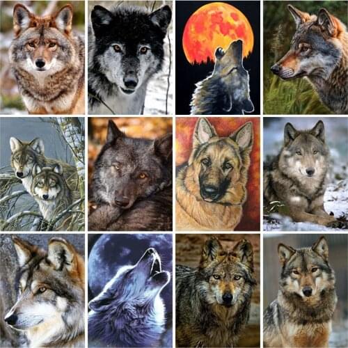 DIY Wolf 5D Diamond Painting Full Square Drill Animal Diamond Embroidery Cross Stitch Kit Resin Mosaic Home Decor Wall Art Gift