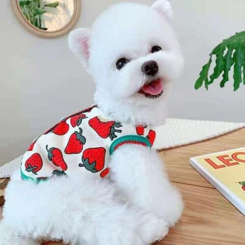 Pet Puppy Clothes Cute Strawberry Dogs Vest Cat Small Dog Teddy Chihuahua Knitted Button Up Kawaii Dog Costume Shirts