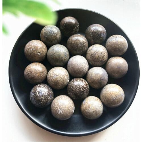 Natural Dinosaur Bone Fossil Crystal Ball Sphere Madagascar Healing Decoration Natural Stones and Minerals