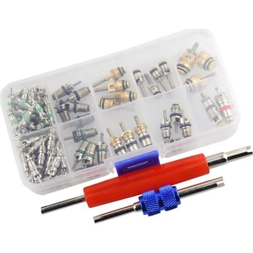 102 Pieces Valve Core Stem Cap Air Conditioner Refrigerant R12 R134 Remover Tool