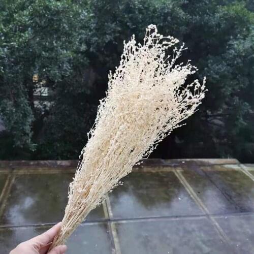 40g/40-45cm,Natural Dried White Grass,Real plant Display flower for Wedding Party Home Decoration Accessories,flower arrangement