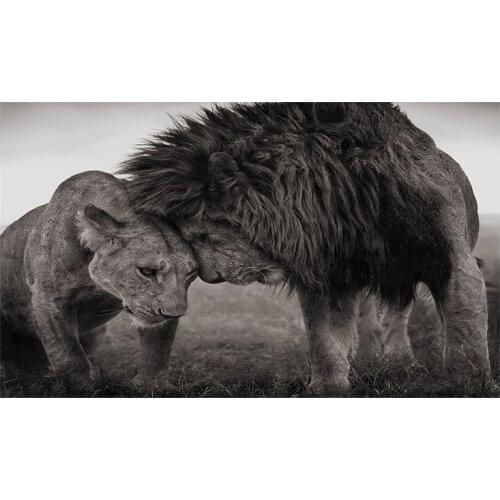 Lions Head to Head Black and White Canvas Art Painting Posters and Prints Scandinavian Cuadros Wall Art Picture for Living Room