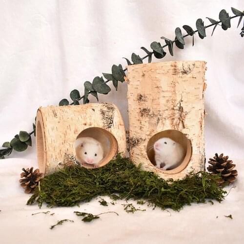 Birch mouse hole natural solid wood animal tunnel Hamster Golden Bear Tree Hole Pipe Chew Toy Little Climbing Pet house