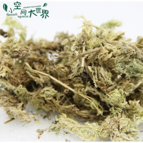 10g/bag High Quality Dry Sphagnum Moss Nutrition Soil for Flower Planting & Micro Landscape & DIY Garden Accessories