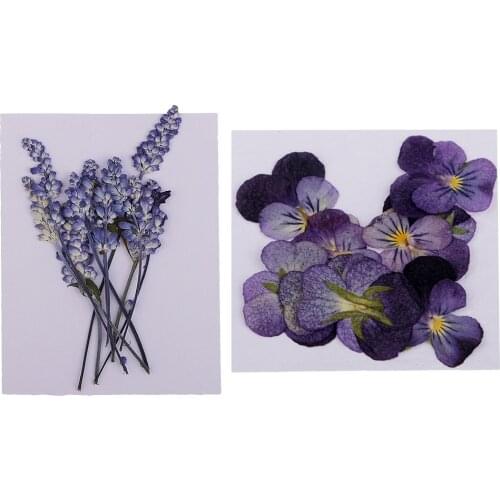 22 Pressed Real Violet & Sage Flower Dried Flowers For handmade bookmarks scrapbooking Jewelry Making Crafts