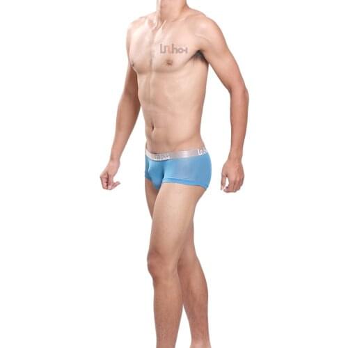 Sexy Gay Underwear Mesh Boxer Shorts Men Transparent Underpants Male Leopard Thin Breathable U Convex Pouch Panties Cueca M-XXL