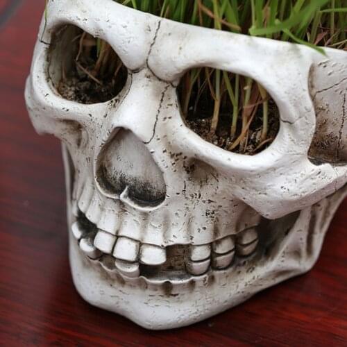 Resin Skull Head Shaped Flower Pot Planter Container Ornaments Home Garden Decor GXMA